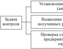 Planificación de gastos de marketing e ingresos derivados del mismo.