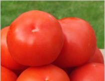 Canning tomatoes for the winter