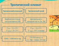 زادگاه گیاه آنتوریوم ترکیب خاک لازم برای کشت آن نام گلها و سرزمین آنها.