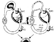 Course of lectures on resuscitation and intensive care manual