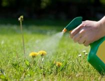 Weed control folk remedies