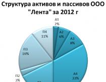 Analiza i procjena financijskih rizika poduzeća zajmoprimca od strane poslovne banke A1 a2 a3 osnova povezivanja