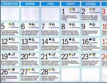 Cuándo plantar semillas para plántulas: fechas exactas según el calendario lunar