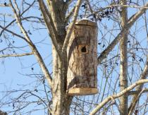 Duplyanka (artificial bird nests)