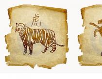 How compatible are a tiger and a goat?